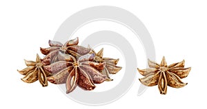 Star anise spice fruits with seeds watercolor illustration. Close up dry indian badian spice. Illicium verum - organic healthy aro