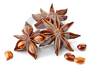 Star anise spice and seeds