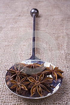 Star Anise on Spoon