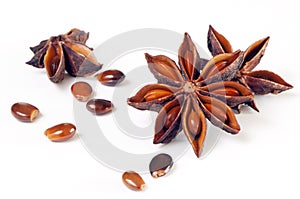 Star anise, star aniseed, or Chinese star anise