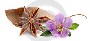 Star anise on white background.