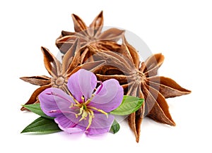 Heap of star anise on white.
