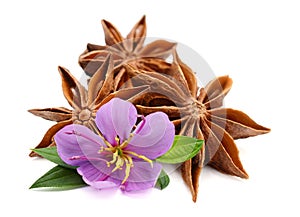 Heap of star anise on white. photo