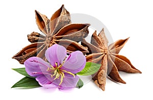 Heap of star anise on white.