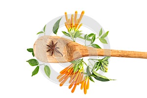 Star anise on wood ladle and orange trumpet flowers