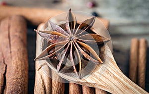 Star anise on a wooden spoon on a blurred background of cinnamon sticks.