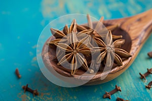 star anise in wooden spoon on turquois background.