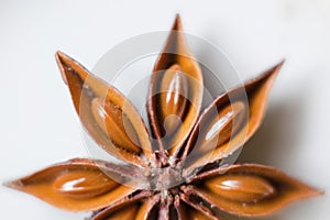 Star aniseed