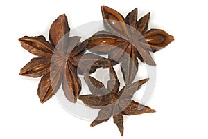 Star aniseed