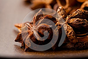 Star aniseed