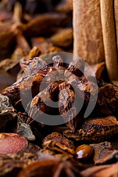 Star aniseed and cinnamon sticks