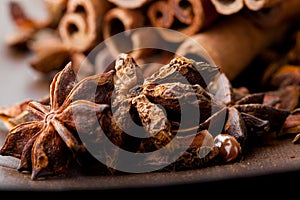 Star aniseed and cinnamon sticks
