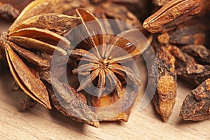 Star anises dried spice fruits