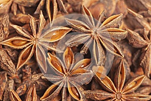 Star anises dried spice fruits