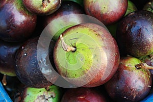 Star apple fruit