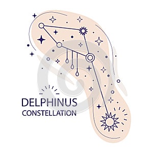 Star constellation Delphinus vector illustration photo