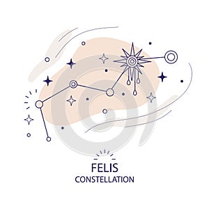 Star constellation Fellis vector illustration