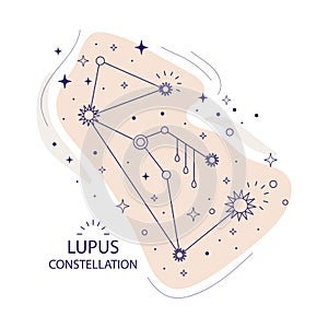 Star constellation Lupus vector illustration