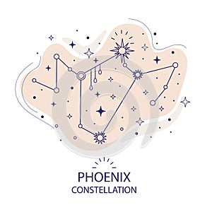 Star constellation Phoenix vector illustration