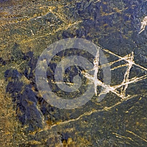 Star of David (Magen David) on a stone