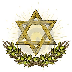 Star of David with a wreath of olive branches