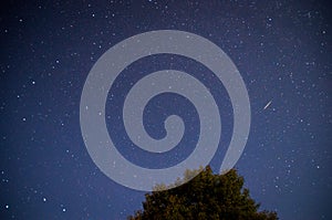 Star fall special capturing way which is making starfall all around the frame.