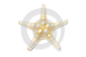 Star Fish