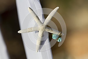 Star fish beach wedding decoration detail.