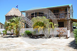 Star Fish Island, Belize