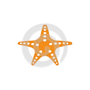 Star Fish Logo Template vector