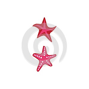 Star Fish Logo Template vector