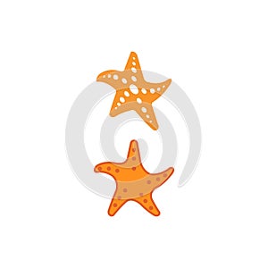 Star Fish Logo Template vector