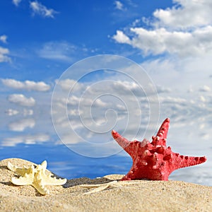 Star fish with sand
