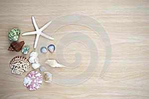 Star fish and sea animal on wooden background