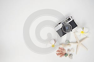 Star fish and sea animal on wooden white background, soft focus