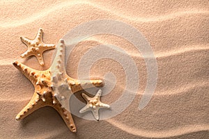 Star fish or sea star in the rippled beach sand