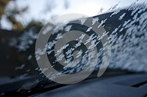 Star frozen front car windshield