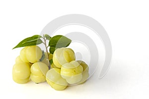 Star gooseberry or Phyllanthus acidus on white background.