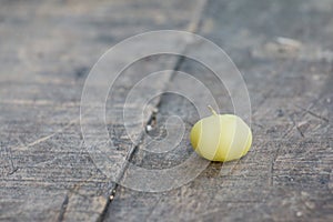 Star gooseberry on wooden table