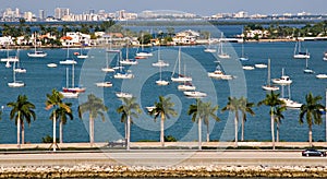 Star Island Sail Boats