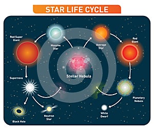 Star life cycle steps from stellar nebula to red giant to black hole. Vector illustration diagram. photo