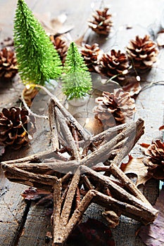 Star with lights and pine cones