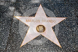 The star of Marlon Brando
