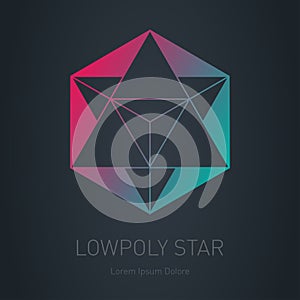 Star with pyramid inside. Design element. Modern stylish logo. Vector low poly logotype template