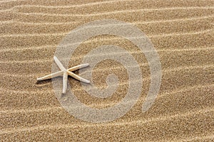 Star on the sand, background