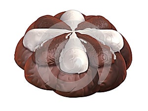 Star shaped chocolate ice cream cake