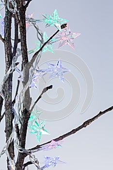 Star shaped christmas lights on bare twigs