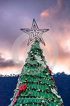 Star on top of Christmas tree against sunset sky