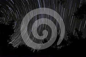 Star trails in the forest