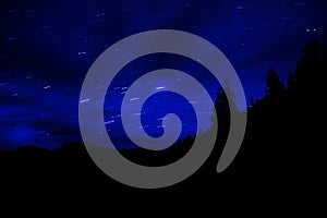 Star Trails in forest with Mountains